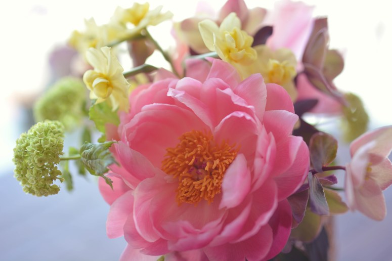 DSC_8304EDITFloristsmall