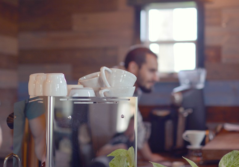 DSC_8483EDITAERISsmall