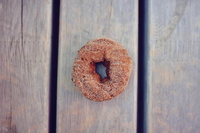 DSC_9096CakeDOnut_edited-1