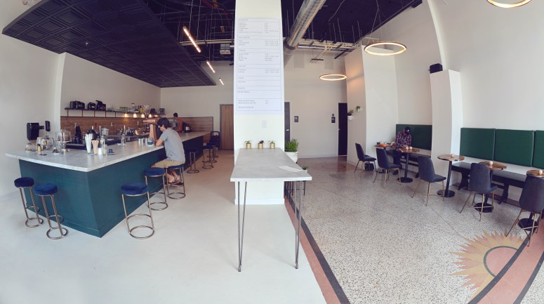 DSC_8612CanaryEDITsmall